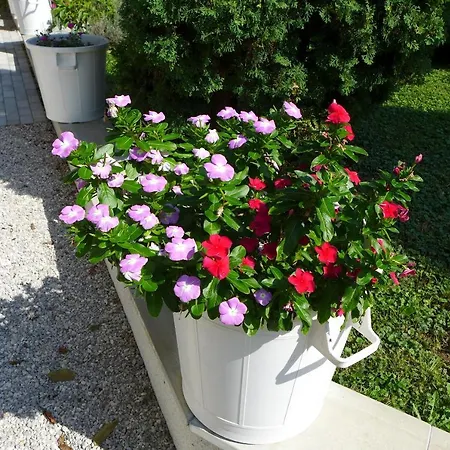 Astoria B&B Balatongyörök